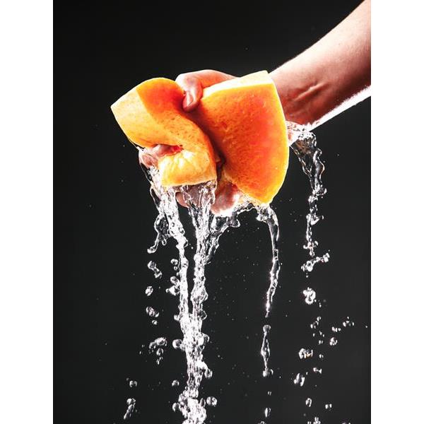 Cellulose sponge