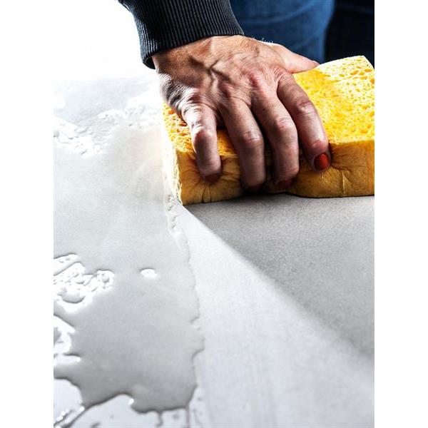 Compressed Cellulose Sponge
