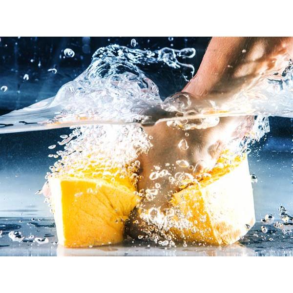 Cellulose sponge