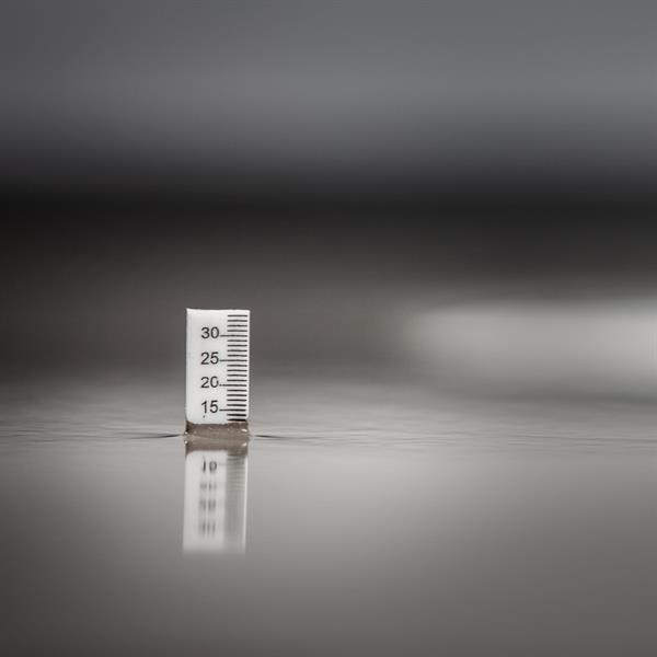 Level pegs 65 mm, 50 pcs